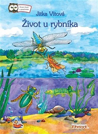 Levně Život u rybníka - Jitka Vítová