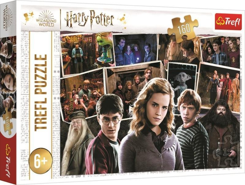 Levně Trefl Puzzle Harry Potter s přáteli 160 dílků