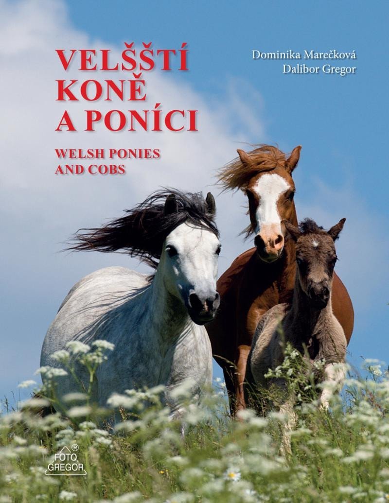 Velšští koně a poníci / Welsh Ponies and Cobs - Dalibor Gregor; Dominika Marečková
