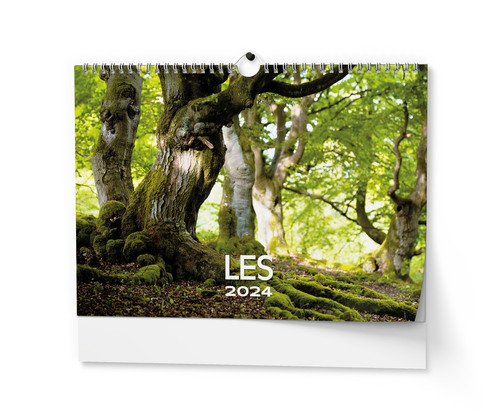 Levně Les 2024 - nástěnný kalendář