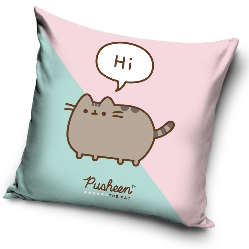 Levně Dětský polštářek Kočička Pusheen Já Košišta