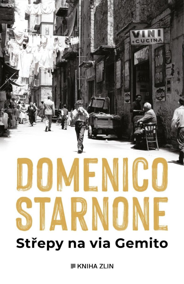 Levně Střepy na via Gemito - Domenico Starnone