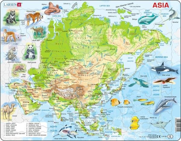 Levně Puzzle Asia Topographic Map