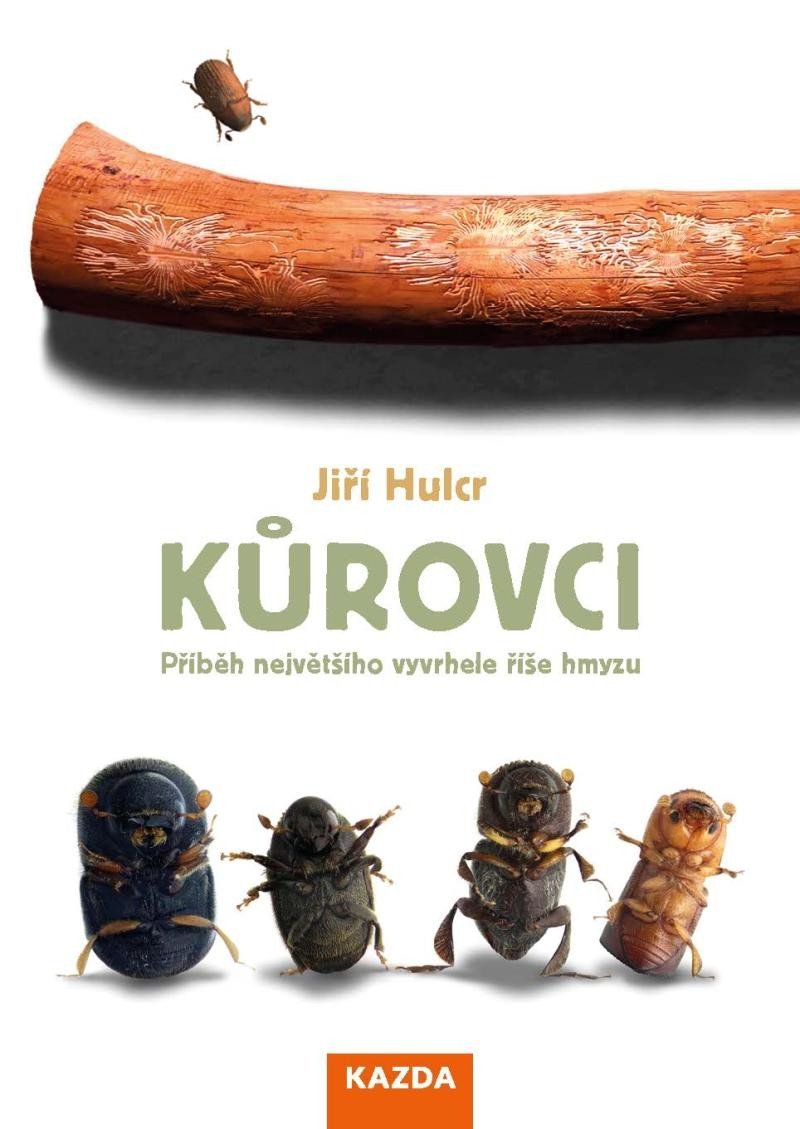Levně Kůrovci - Příběh největšího vyvrhele říše hmyzu - Jiří Hulcr