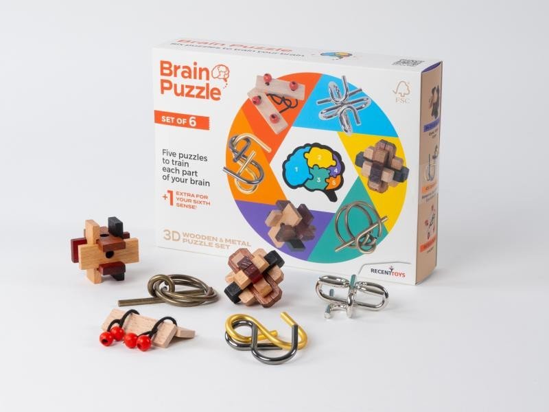Levně Recenttoys Hlavolam - Brain Puzzle (sada 6 ks)