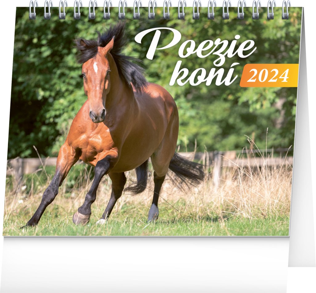 Levně Kalendář 2024 stolní: Poezie koní, 16,5 × 13 cm