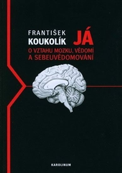 Já - O vztahu mozku, vědomí a sebeuvědomování - František Koukolík