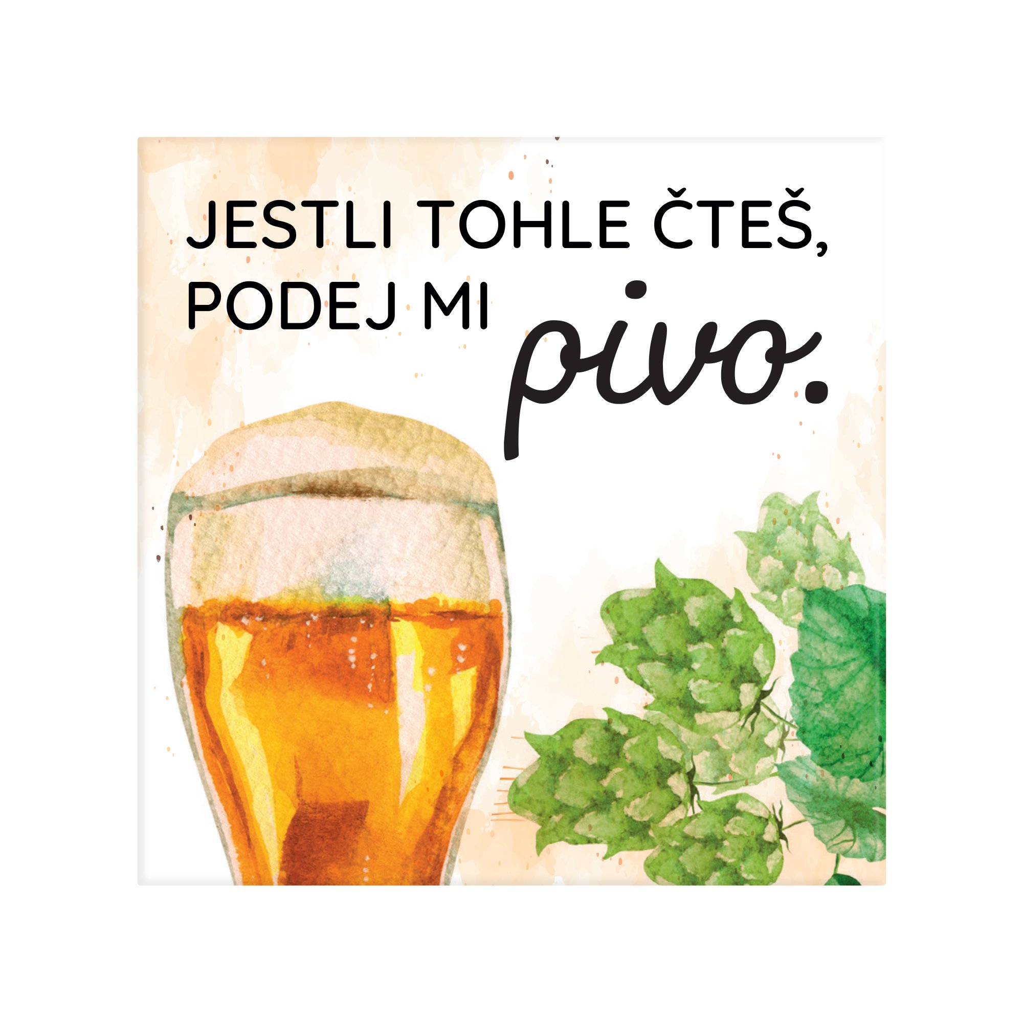 Albi Magnetka - Pivo - Albi