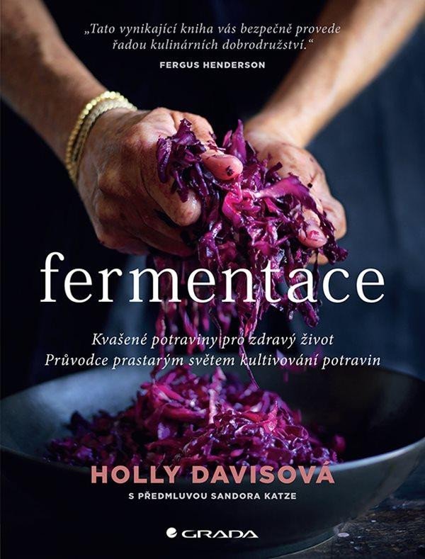 Levně Fermentace - Kvašené potraviny pro zdravý život - Holly Davisová