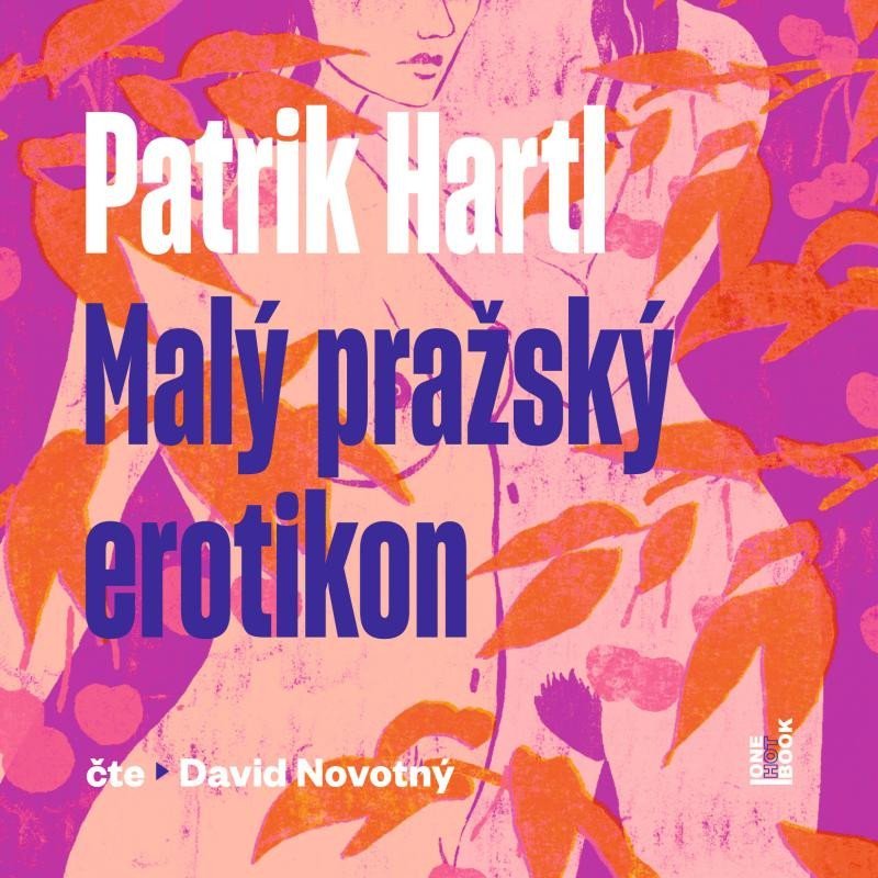 Levně Malý pražský erotikon - CDmp3 (Čte David Novotný) - Patrik Hartl