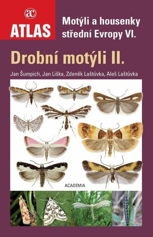 Levně Drobní motýli II. - Motýli a housenky střední Evropy VI. - Aleš Laštůvka