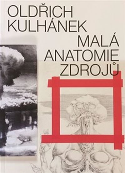 Levně Oldřich Kulhánek - Malá anatomie zdrojů - Oldřich Kulhánek