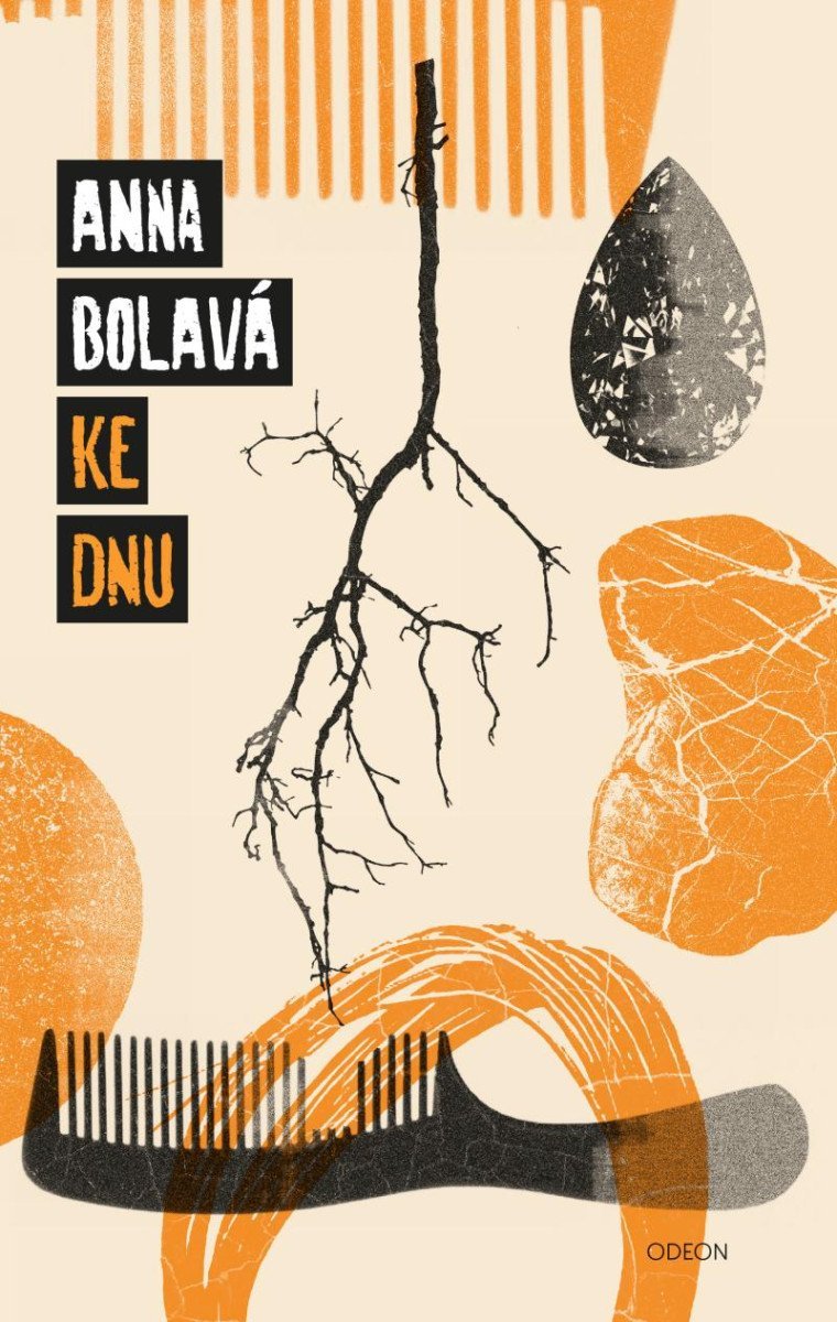Levně Ke dnu, 2. vydání - Anna Bolavá