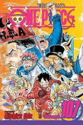 Levně One Piece 107 - Eiichiro Oda