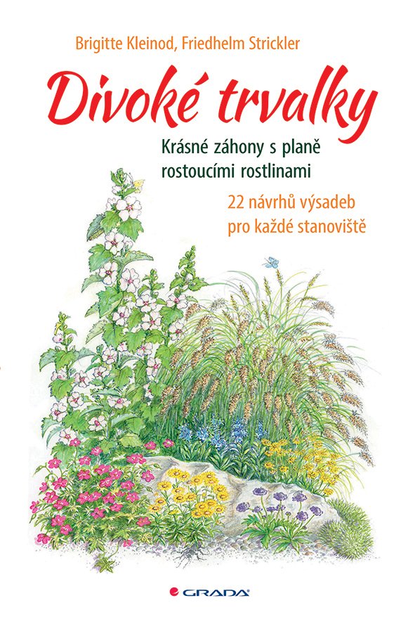 Divoké trvalky - Krásné záhony s planě rostoucími rostlinami, 22 návrhů výsadeb pro každé stanoviště - Brigitte Kleinod