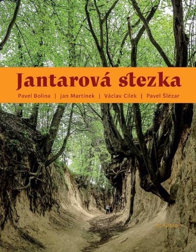 Levně Jantarová stezka - Pavel Bolina