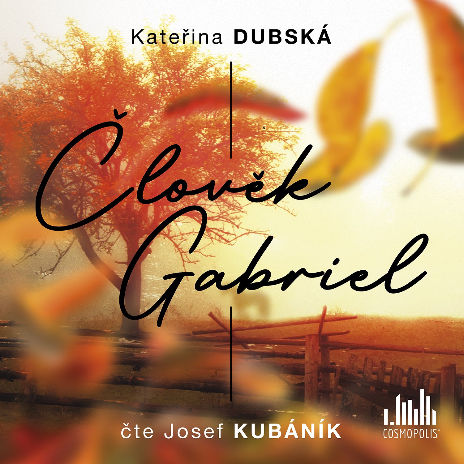 Levně Člověk Gabriel - CDmp3 (Čte Josef Kubáník) - Kateřina Dubská