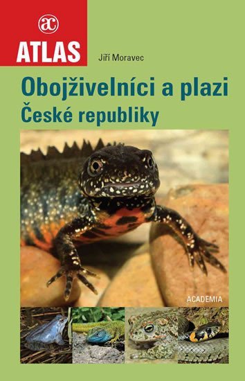 Levně Obojživelníci a plazi České republiky - JIří Moravec