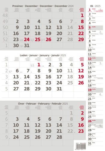Levně Kalendář nástěnný 2025 - Tříměsíční šedý s poznámkami