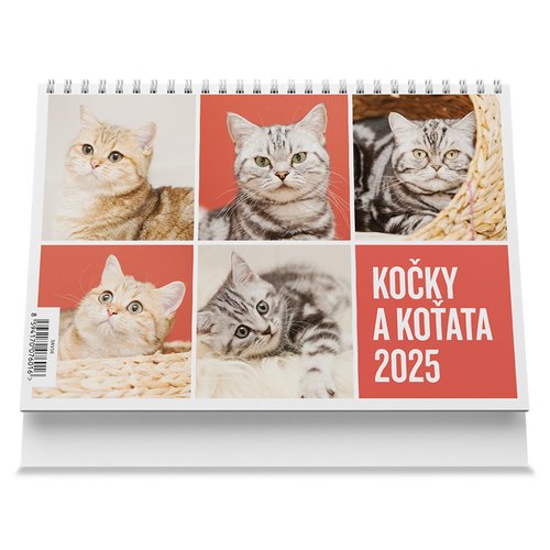 Levně Kočky a koťata 2025 - stolní kalendář