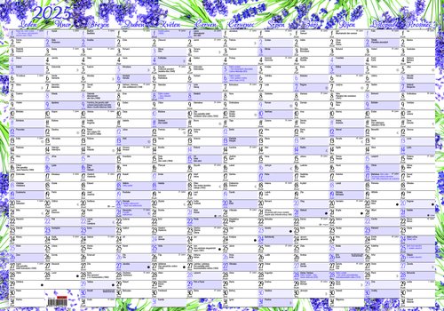 Roční kalendář Levandule - nástěnný kalendář