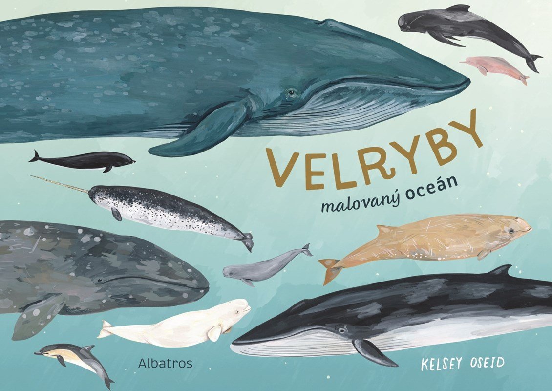 Velryby - Malovaný oceán - Kelsey Oseidová