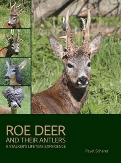 Levně Roe Deer and their Antlers - A Stalker´s lifetime experience - Pavel Scherer