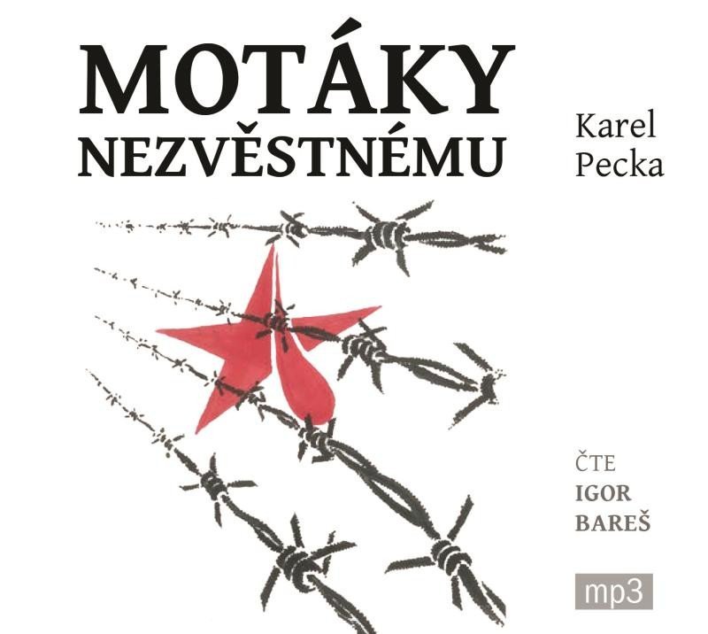 Levně Motáky nezvěstnému - 3 CDmp3 - Karel Pecka
