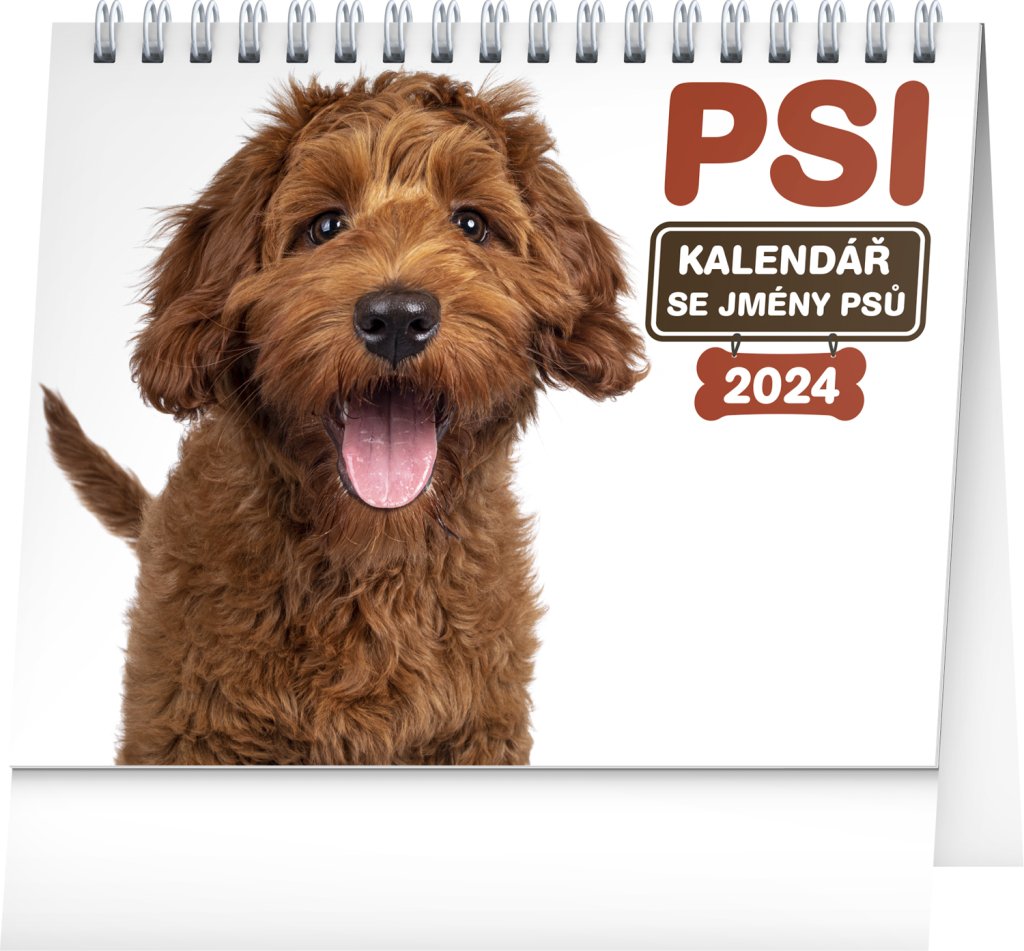 Levně Kalendář 2024 stolní: Psi se jmény, 16,5 × 13 cm