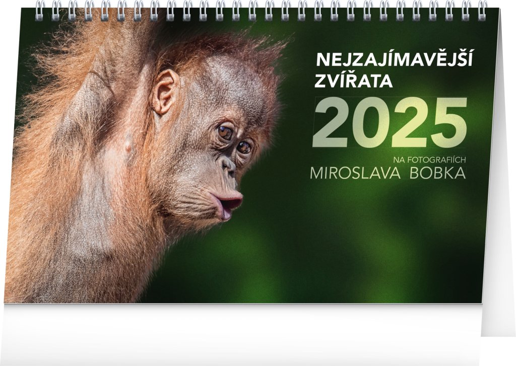 Levně NOTIQUE Stolní kalendář Nejzajímavější zvířata 2025, 23,1 x 14,5 cm - Miroslav Bobek