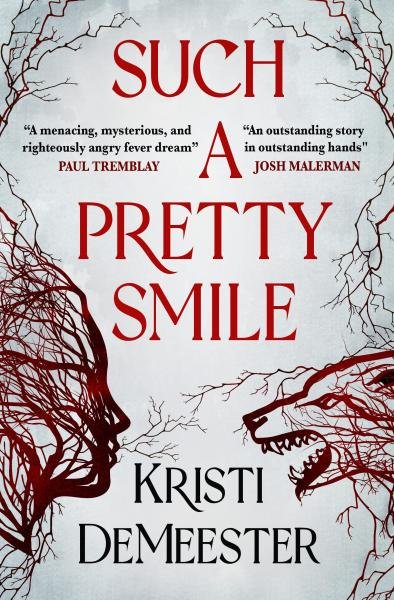 Levně Such a Pretty Smile - Kristi DeMeester