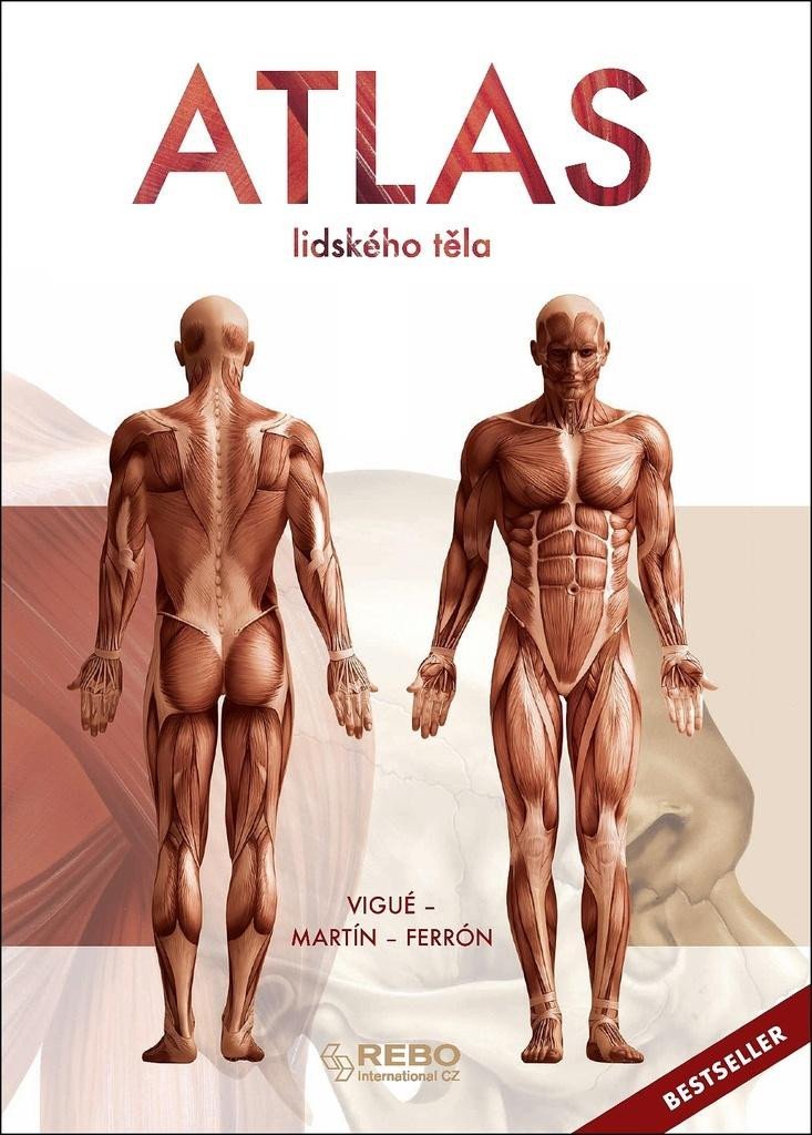 Levně Atlas lidského těla, 14. vydání - Jordi Vigué