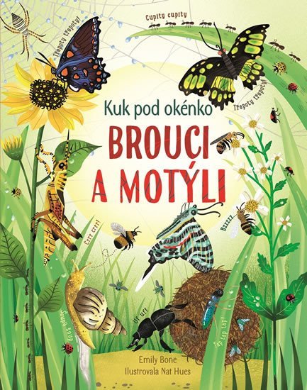 Levně Brouci a motýli - Kuk pod okénko - Emily Bone; Nat Hues