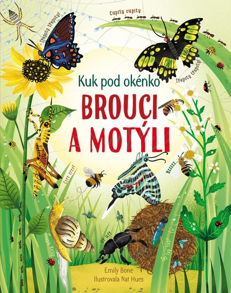 Levně Brouci a motýli - Kuk pod okénko - Emily Bone; Nat Hues