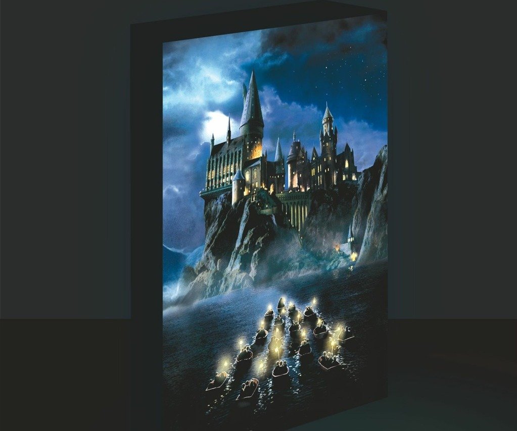 Levně Harry Potter obraz LED svítící 30x40 cm - Bradavice - EPEE
