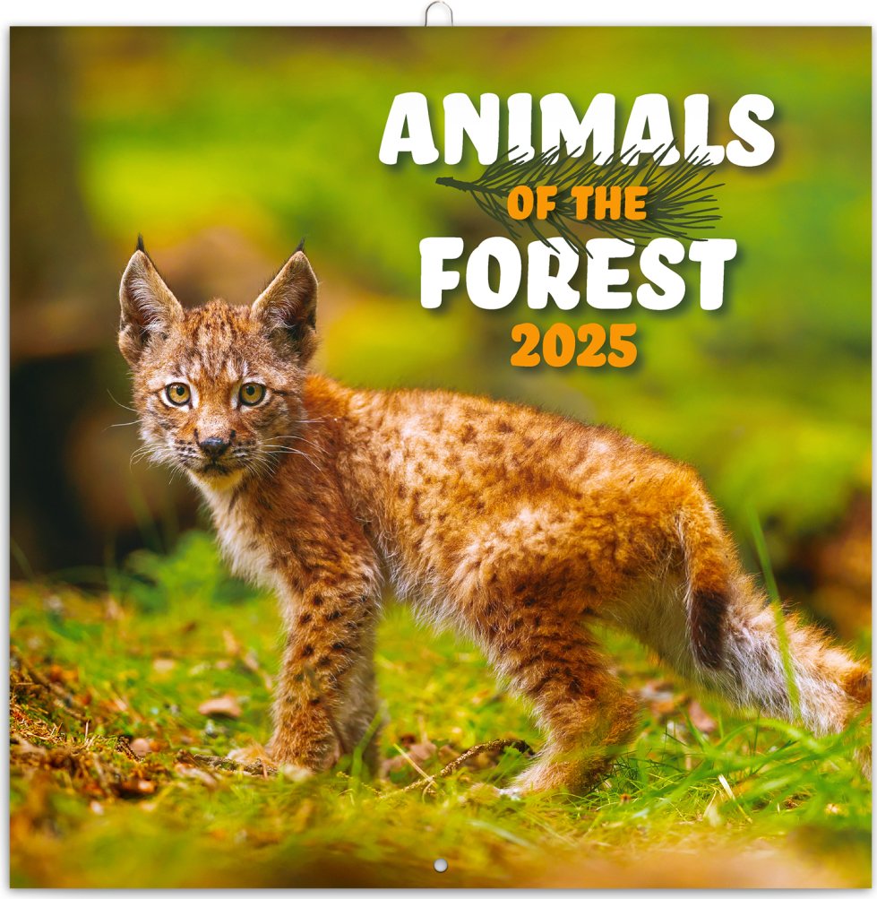 Levně Poznámkový kalendář Zvířátka z lesa 2025, 30 × 30 cm