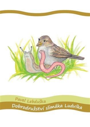 Levně Dobrodružství slimáka Ludvíka - Pavel Lebduška