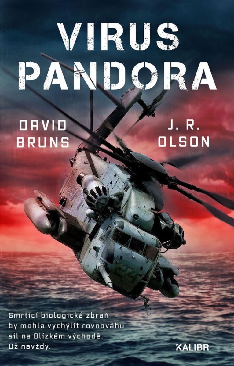 Levně Virus Pandora - David Bruns