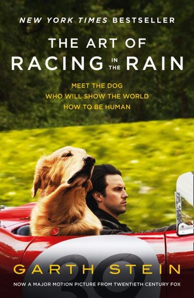 Levně The Art of Racing in the Rain - Garth Stein
