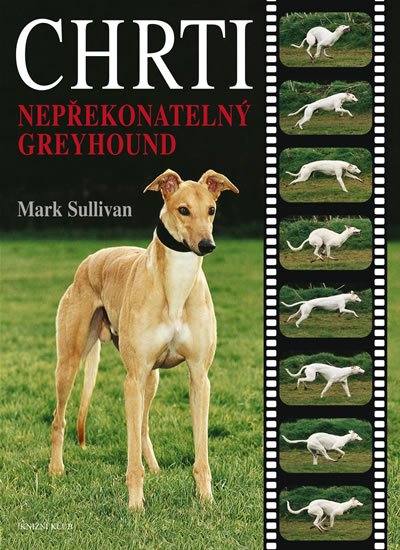 Levně Chrti - Nepřekonatelný Greyhound - Mark Sulivan