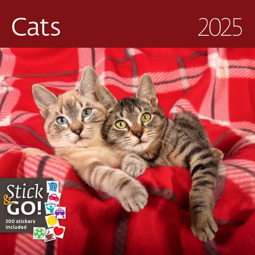 Levně Kalendář nástěnný 2025 - Cats