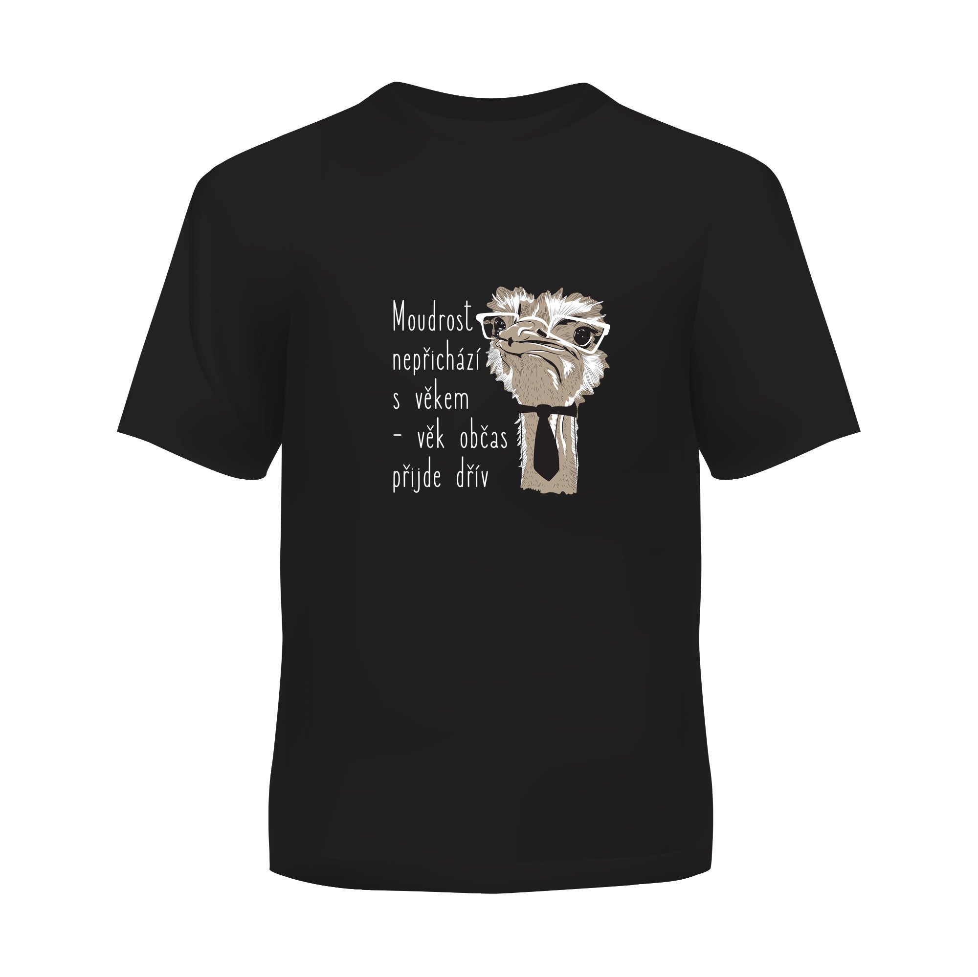 Levně Albi Pánské tričko - Moudrost nepřichází s věkem, vel. M - Albi