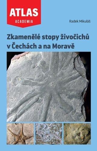 Levně Zkamenělé stopy živočichů v Čechách a na Moravě - Radek Mikuláš