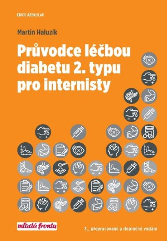 Levně Průvodce léčbou diabetu 2. typu pro internisty, 3. vydání - Martin Haluzík