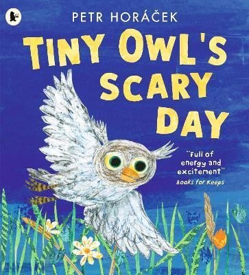 Levně Tiny Owl´s Scary Day - Petr Horáček