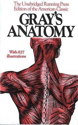 Levně Gray´s Anatomy - Henry Gray