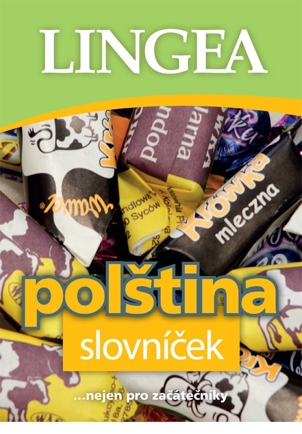 Polština slovníček, 1. vydání - kolektiv autorů