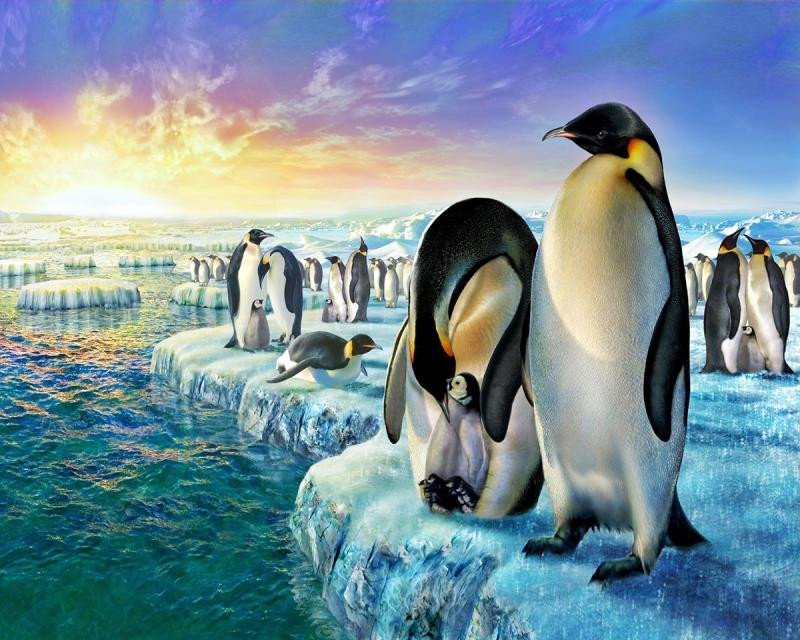 Levně Malování podle čísel - Tučňáci na ledě 40 x 50 cm (s rámem)