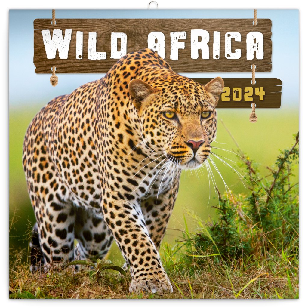 Levně Kalendář 2024 poznámkový: Divoká Afrika, 30 × 30 cm