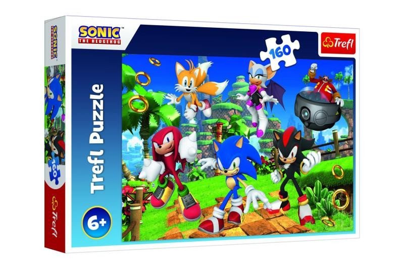 Levně Puzzle Sonic a jeho přátelé 160 dílků